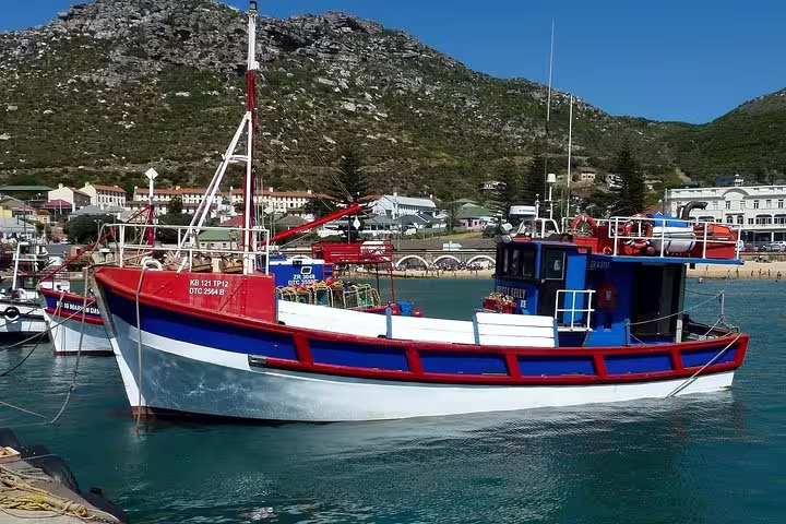 Colorful fishing boat docked in a picturesque harbor with mountain backdrop in Cape Town.