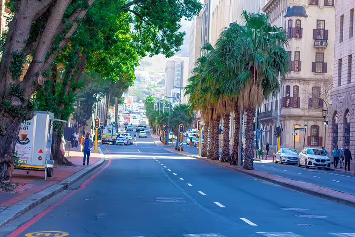 Scenic street view in Cape Town with lush trees and vibrant city life, part of the half-day guided tour to Table Mountain.