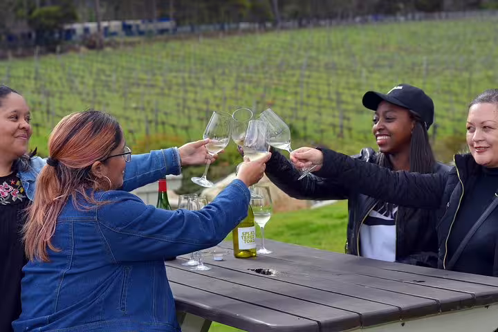 Group of friends toasting with wine glasses at a vineyard table in Franschhoek during a Cape Winelands day tour.
