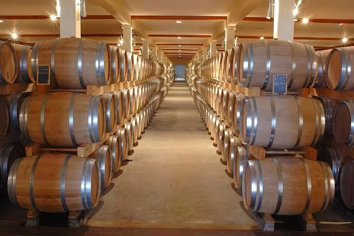 Rows of oak barrels in a wine cellar on a Cape Winelands tour from Cape Town to Stellenbosch and Franschhoek.