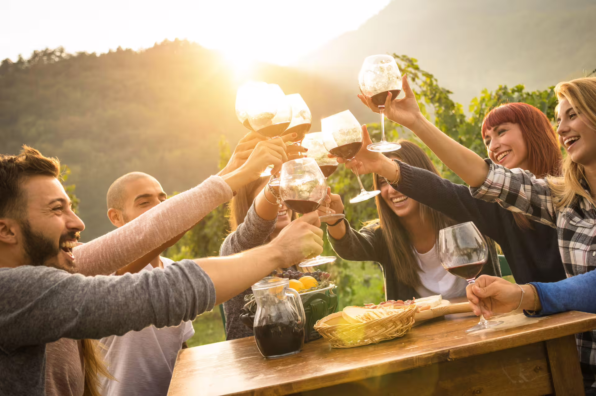 Group of friends toasting with wine glasses in a vibrant Cape Winelands vineyard setting.