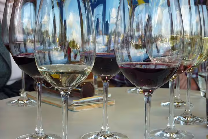 Close-up of wine glasses with red and white wine at a tasting in the Cape Winelands tour from Cape Town.