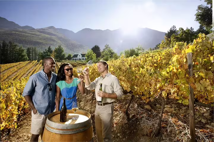 Tourists enjoy a wine tasting experience amidst scenic vineyards in the Cape Winelands with Stellenbosch mountains in view.