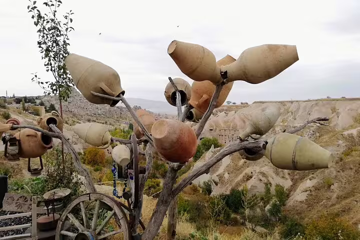 Cappadocia valley viewpoint with pottery tree and fairy chimneys on full-day tour from Istanbul by flight