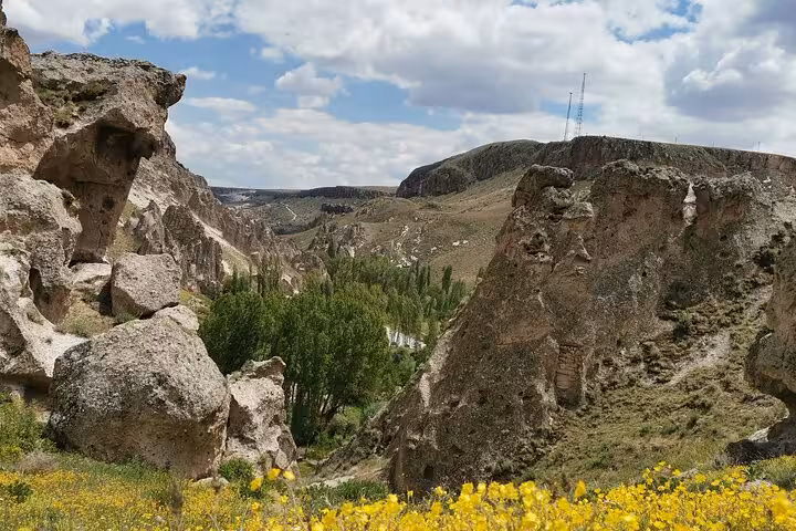 Panoramic view of an undiscovered Cappadocia valley with fairy chimneys and wildflowers on a private day trip