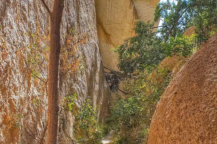 Scenic canyon trail with trees and tuff cliffs on a 2-day private trekking tour in Cappadocia, Turkey