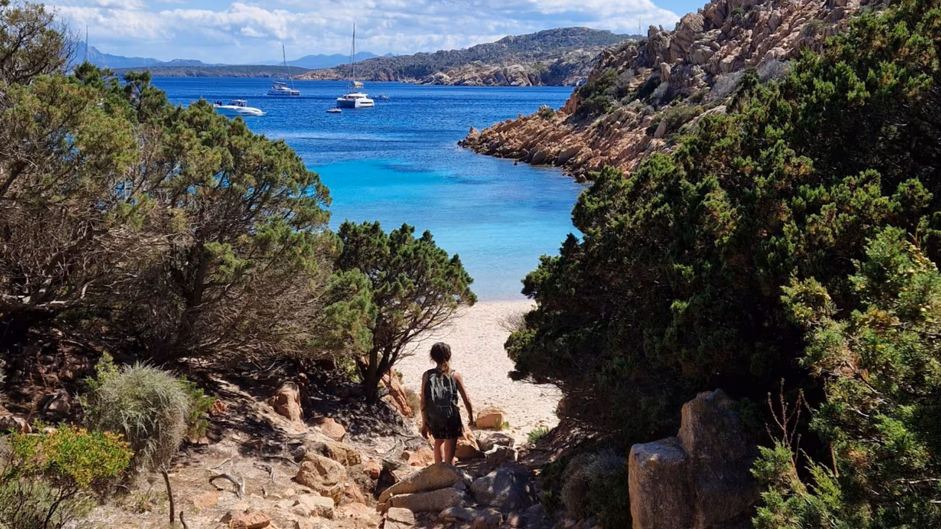 Traveler walks through lush greenery towards Cala Coticcio's turquoise waters and sandy beach on Caprera island.
