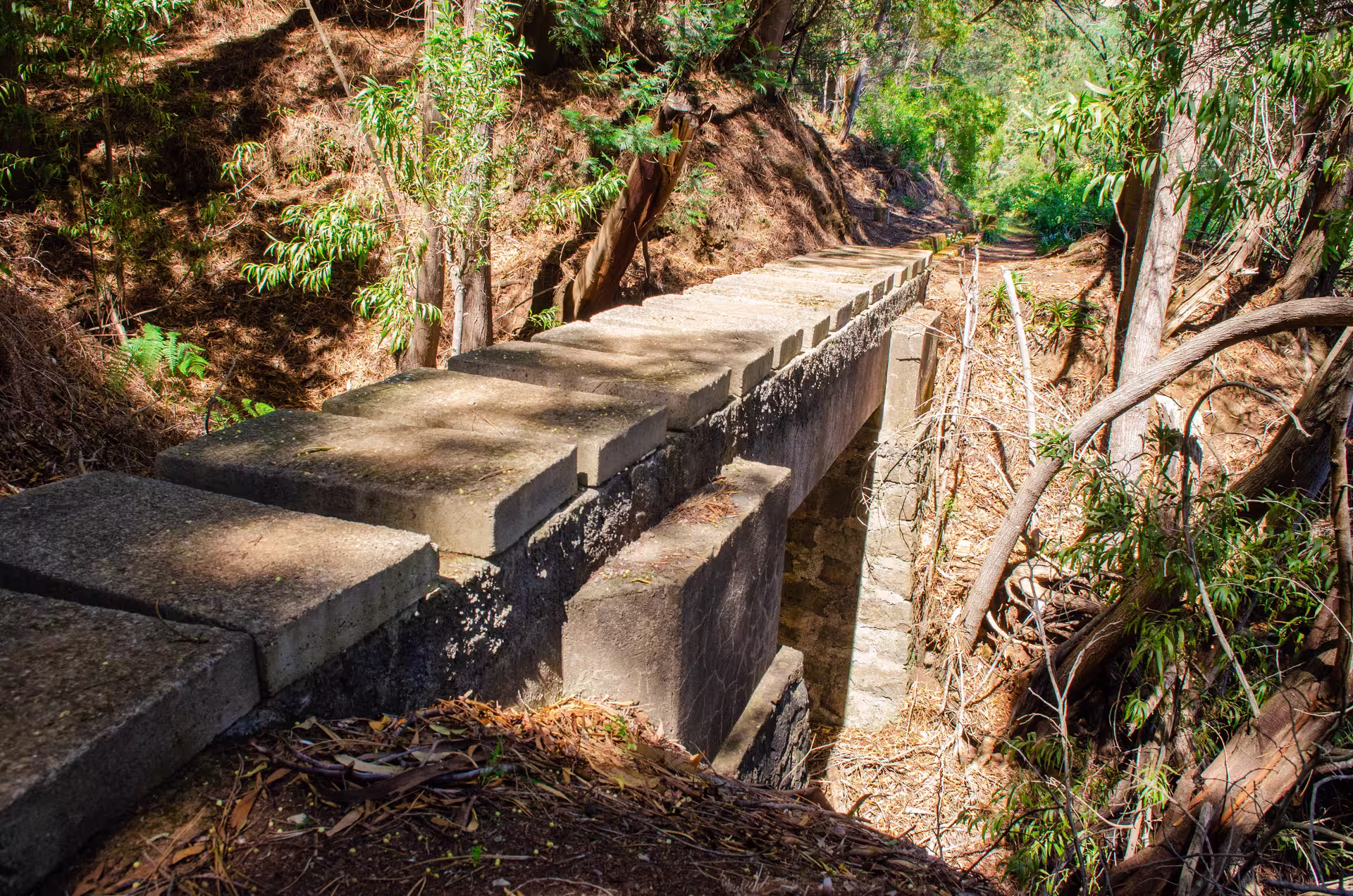 Stone bridge surrounded by dense forest on The Cardinal's Hike, ideal for adventurous hikers and nature enthusiasts.