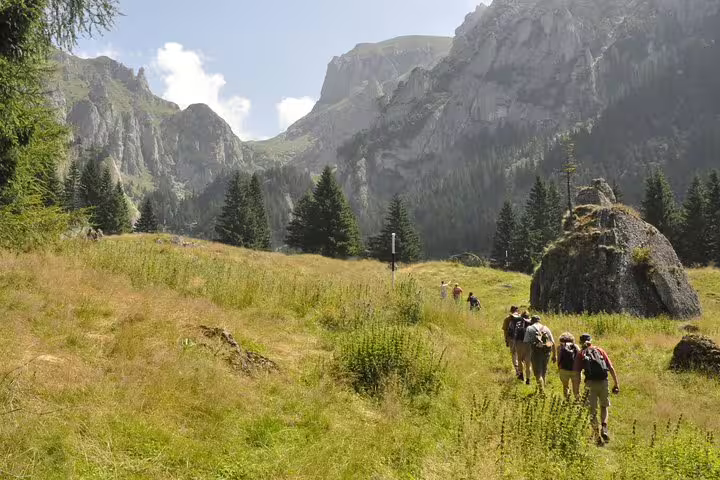 Group of hikers with backpacks trekking through alpine meadow with rocky Carpathian Mountains in background