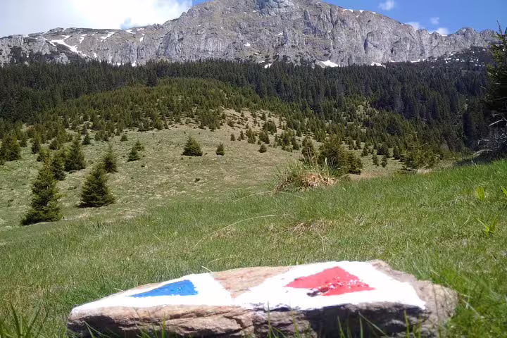Trail marker painted on rock with Carpathian mountain peaks and alpine meadow in background