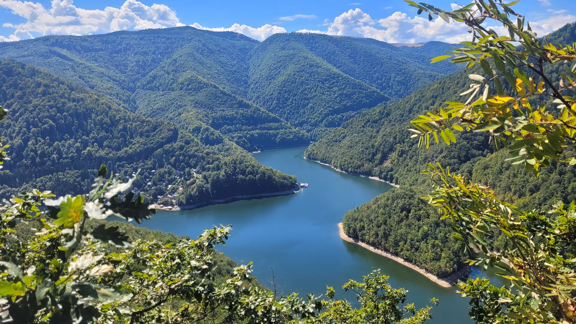 Winding turquoise lake surrounded by lush green Carpathian mountain forests under blue sky