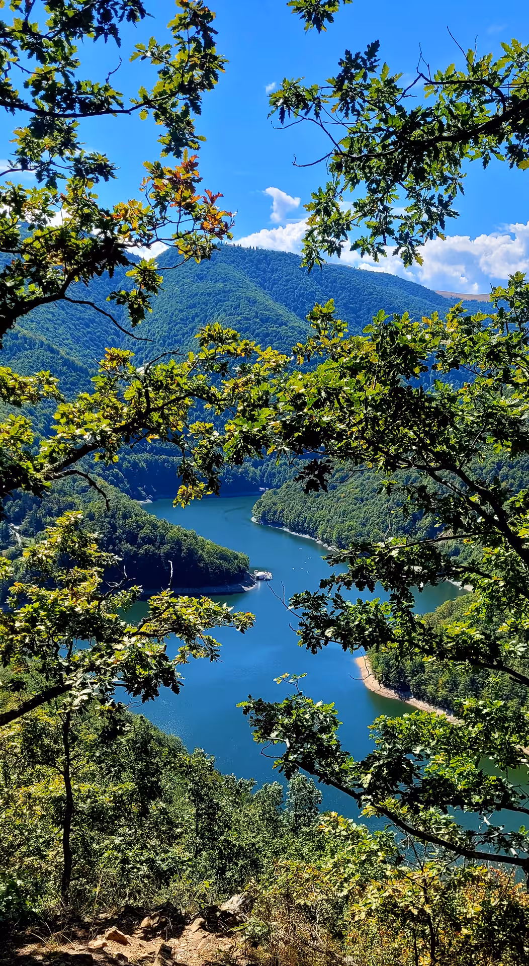 Aerial view of a winding turquoise lake surrounded by lush green Carpathian mountain forests under blue sky