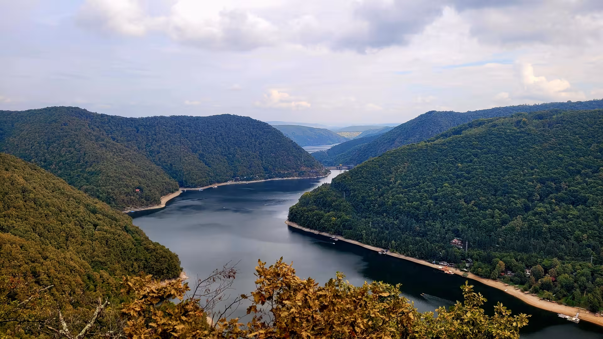 Aerial view of a winding river through forested Carpathian Mountain valleys with sandy shores