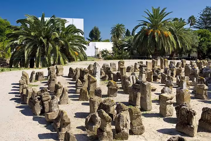 Discover the archaeological site of Carthage with scattered stone relics under palm trees on a Tunis private excursion.