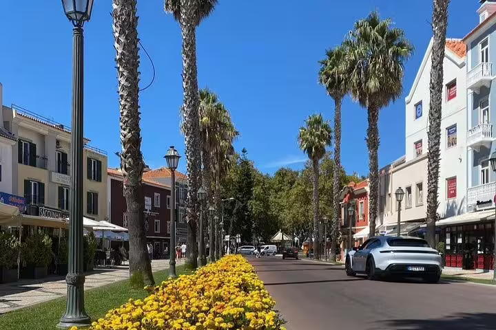 Charming street in Cascais with palm trees and colorful buildings, perfect for a Sintra and Cascais full-day tour experience.