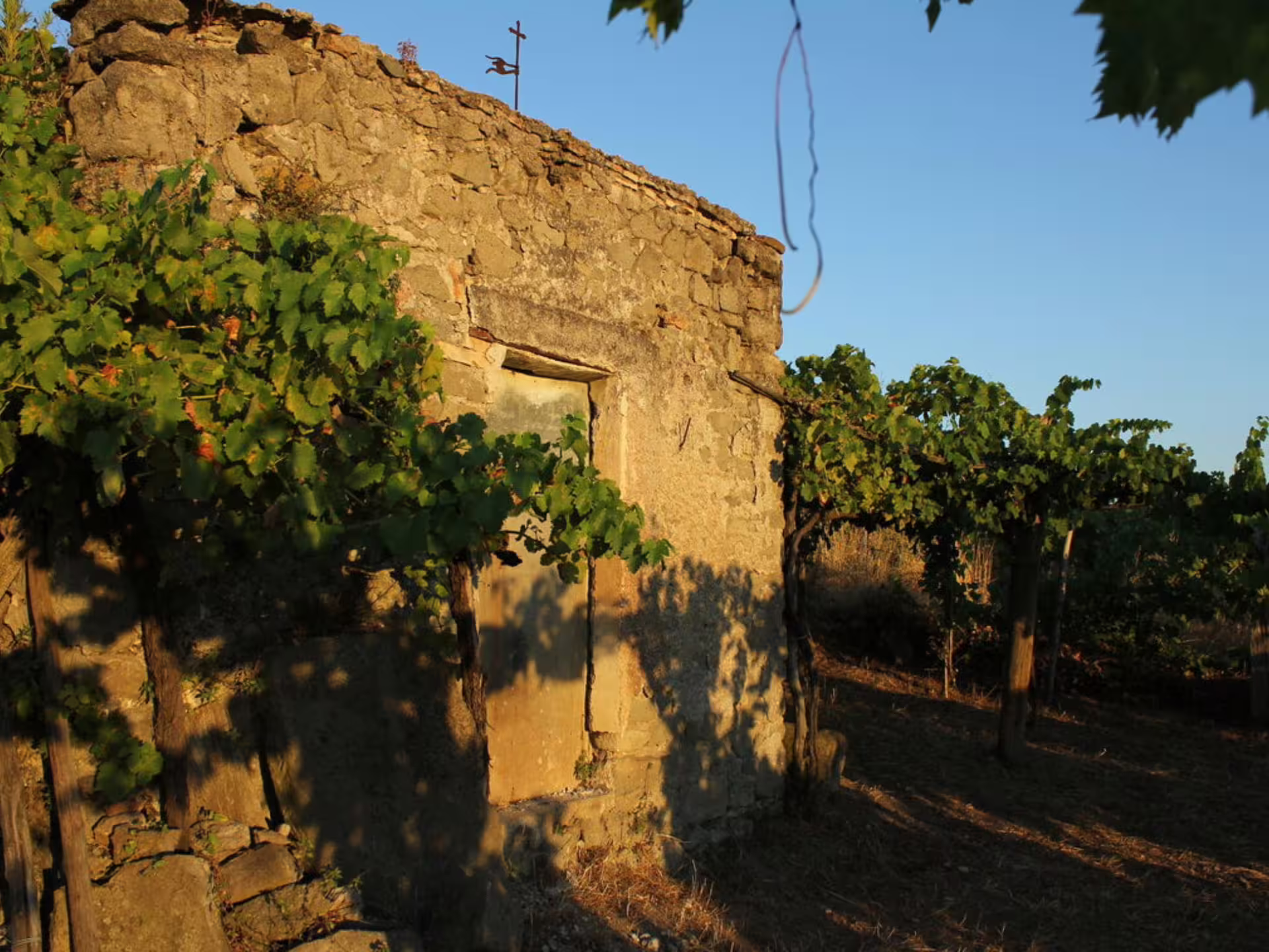 Historic stone building surrounded by lush vineyards, capturing the medieval charm of Castelli Romani.