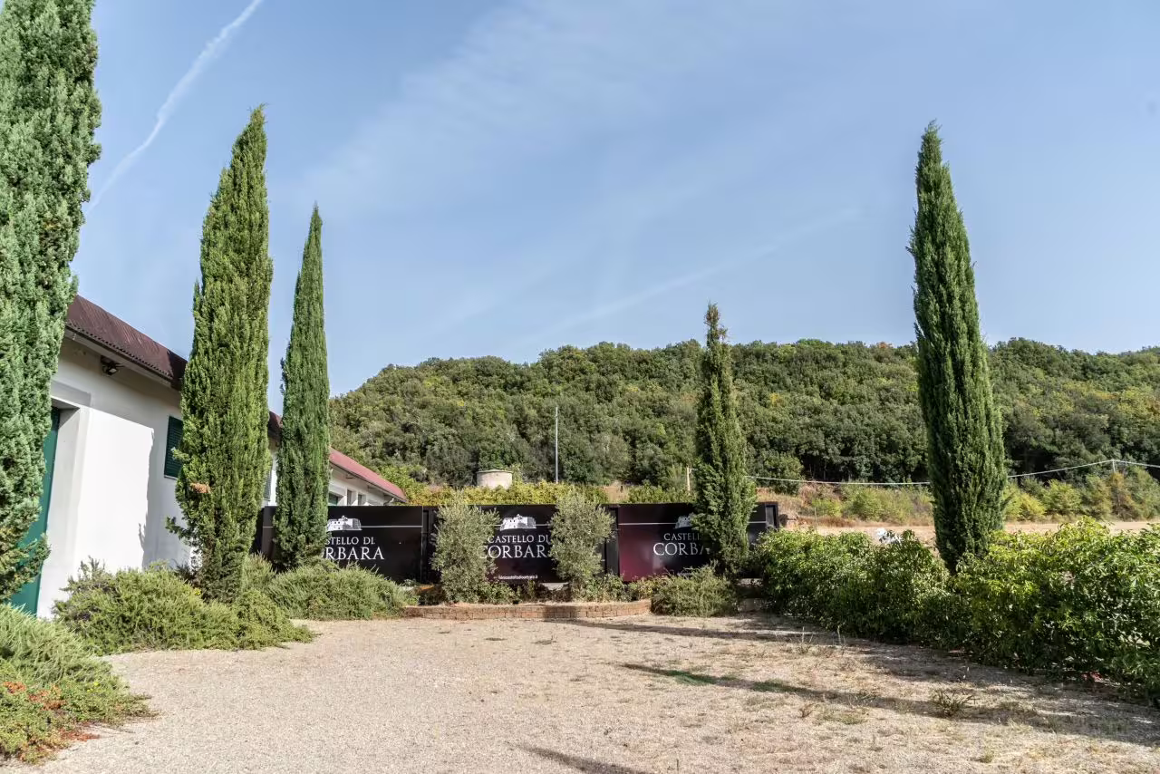 Entrance to Castello di Corbara with tall cypress trees and lush greenery in Umbria's scenic wine region.