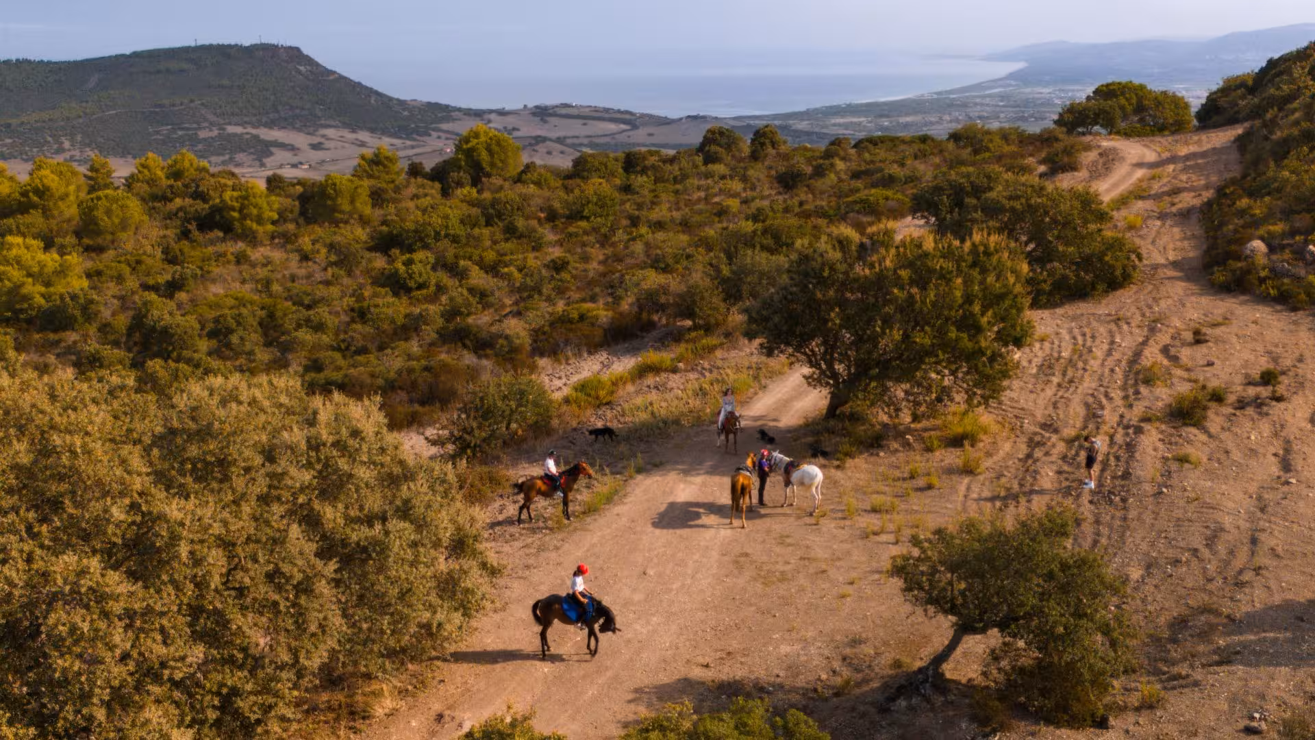 Aerial view of horseback riders in Sedini, capturing the stunning Castelsardo landscape and ocean backdrop.