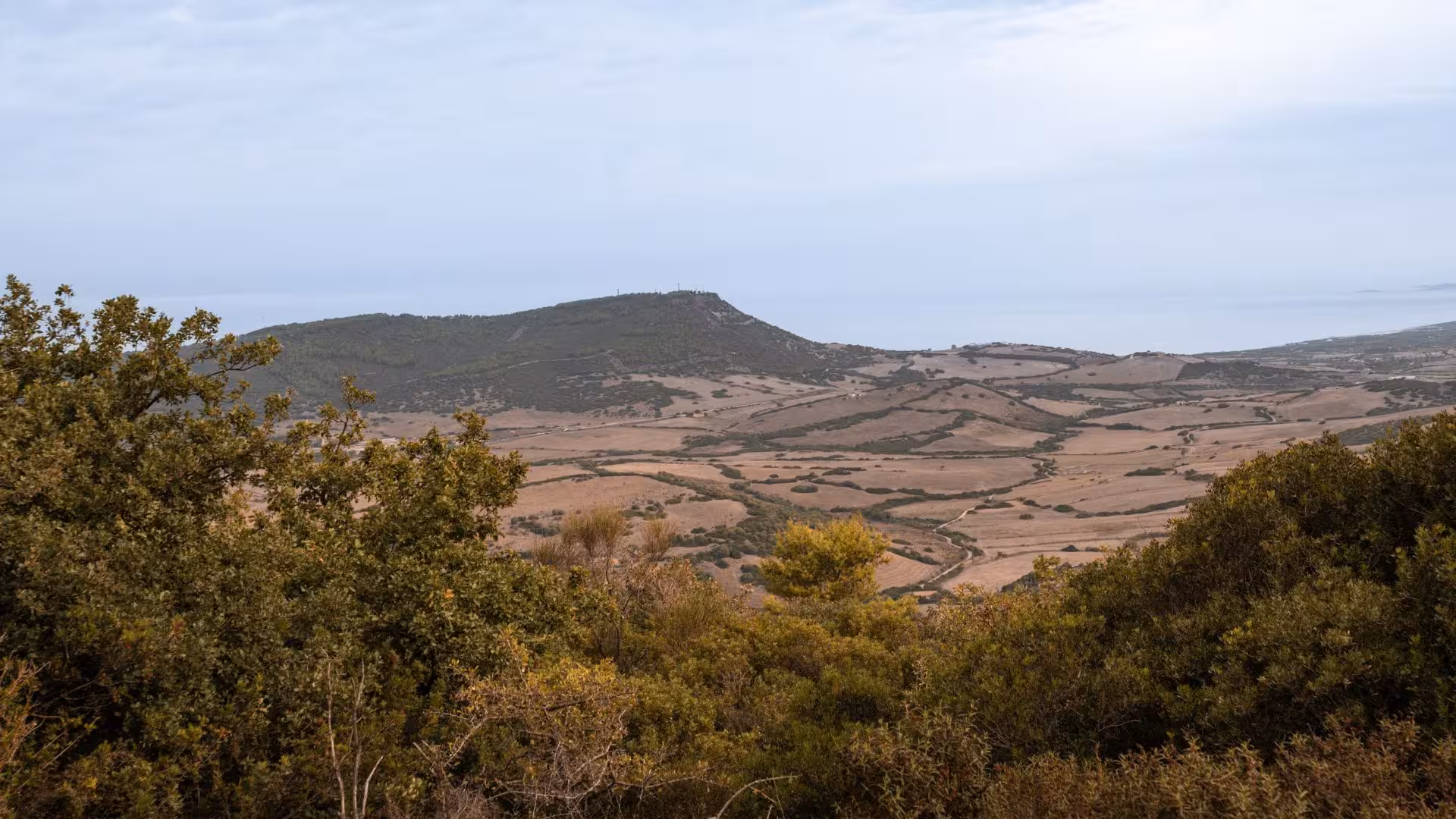 Scenic view of Sedini's rolling hills and lush greenery near Castelsardo, perfect for a horseback riding adventure.