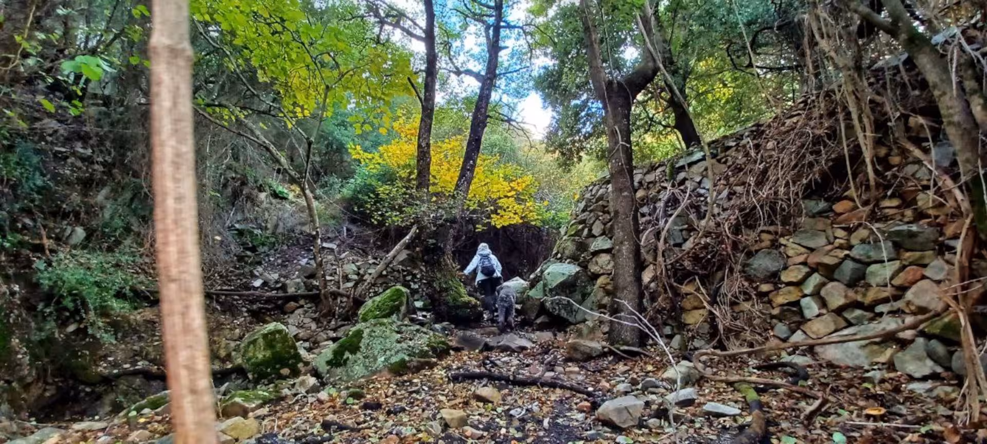 Hiker exploring the lush S'Acqua Callenti forest, surrounded by vibrant green foliage and rocky terrain in Castiadas.