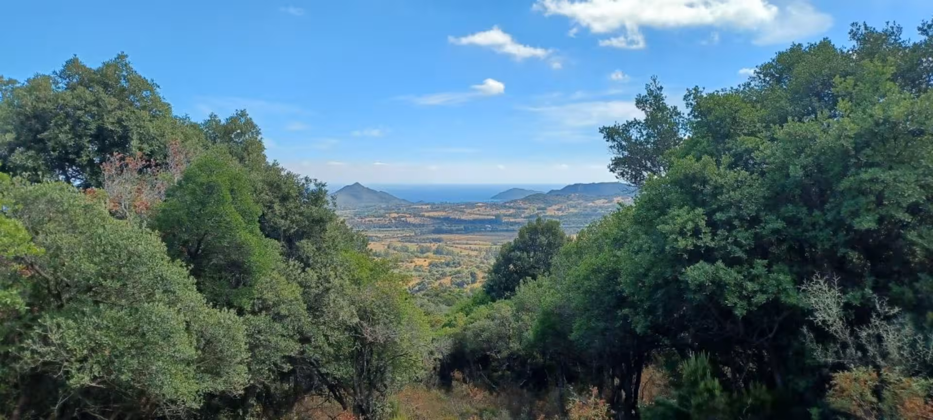 Panoramic view of S'Acqua Callenti forest with distant mountains and sea, perfect for a Castiadas trekking adventure.