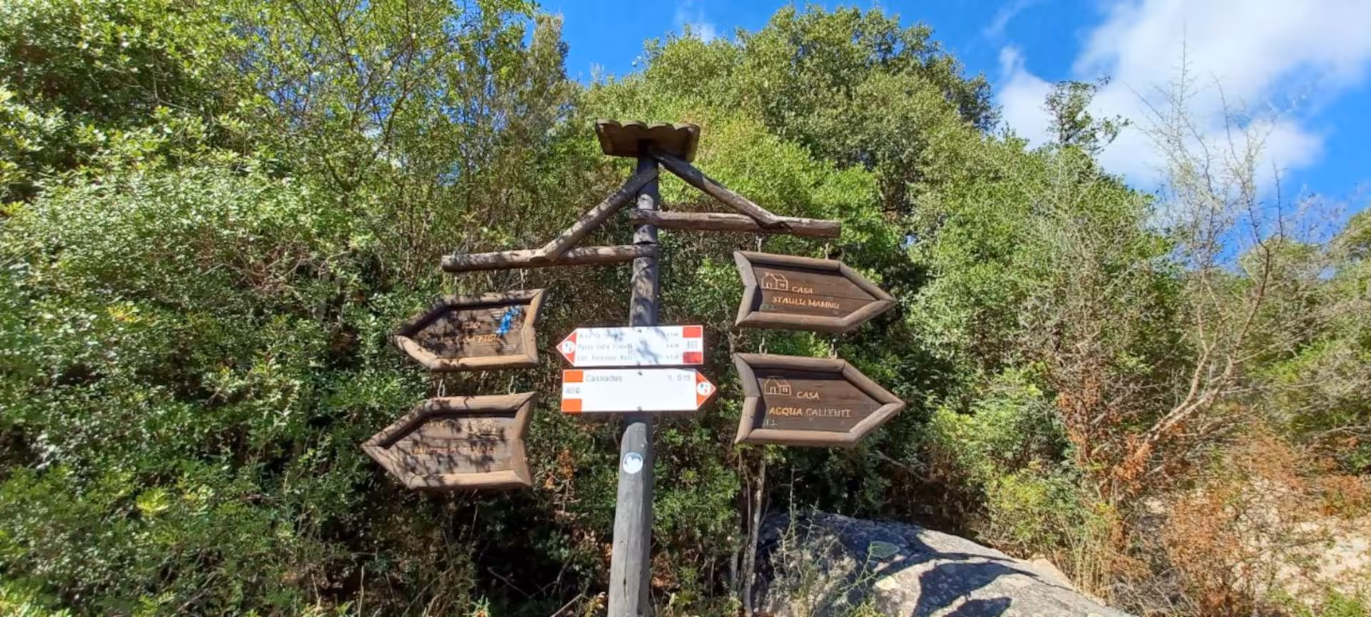 Wooden directional signs in S'Acqua Callenti forest guide hikers with clear paths under a bright blue sky.