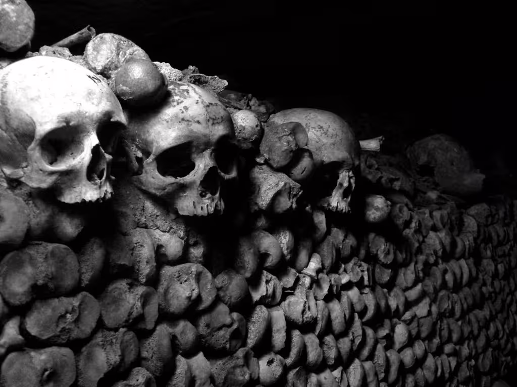 Row of ancient skulls and bones stacked along a dim tunnel wall on a Catacombs of Rome small group tour