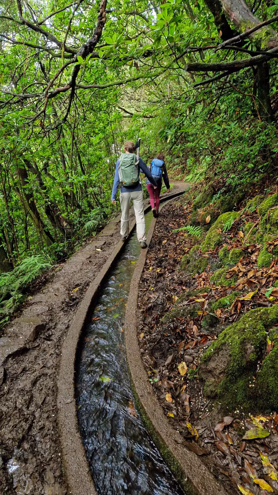 Adventurous duo hiking along scenic, mossy paths in The Cedars, with a narrow stream running alongside the trail.