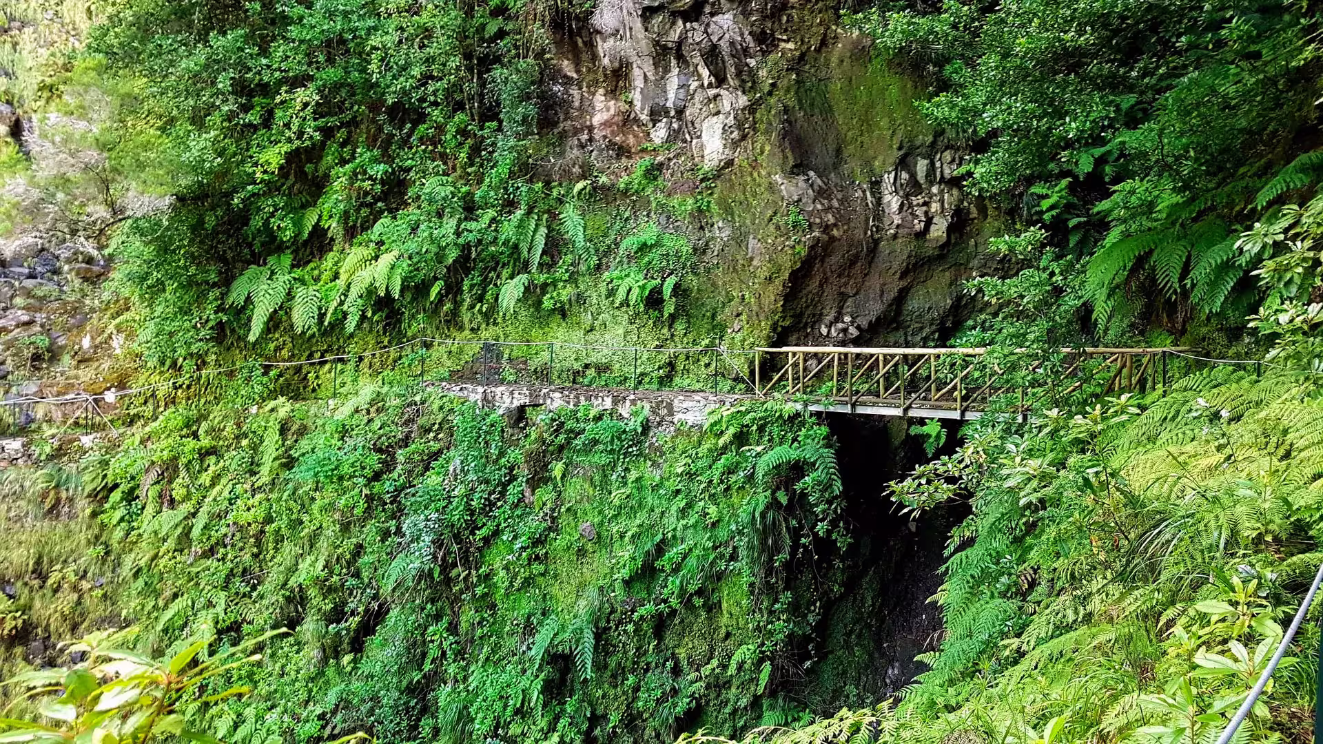 Scenic view of lush green cliffs and a narrow wooden bridge on The Cedars' Hike trail.