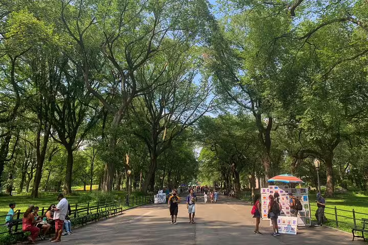 Tree-lined Mall walkway in Central Park with visitors strolling past art vendors on a sunny day