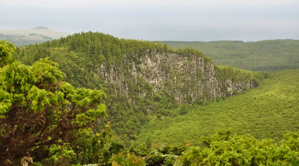 Chambre Rock hiking tour view of dramatic basalt cliffs and lush forested valley on a full-day trek with lunch