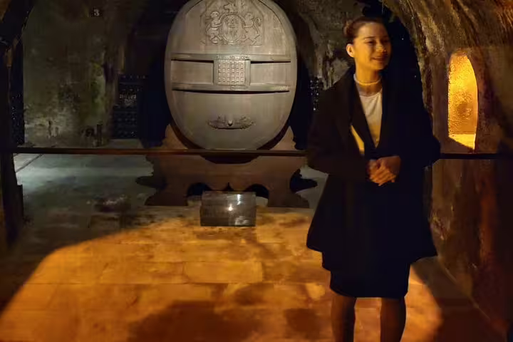 Guide in a historic Champagne cellar on a small-group day trip from Paris with winery tour, tastings and lunch