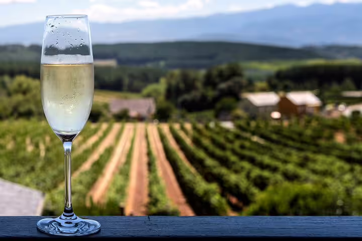 Champagne glass with vineyard view in Reims, perfect for a private day trip with lunch from Paris, showcasing French wine culture.