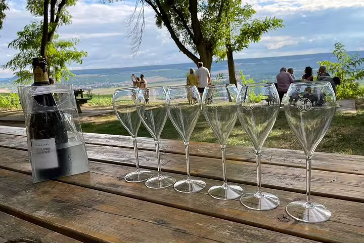 Champagne tasting glasses on vineyard picnic table, small-group day trip from Paris with lunch and views