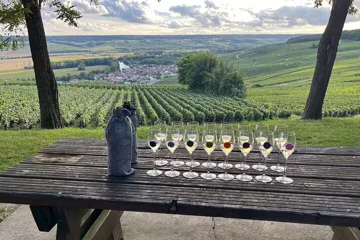 Champagne vineyard tasting flight on picnic table, scenic Reims countryside view on day trip from Paris