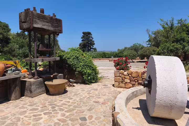 Explore the historic olive oil mill in Chania Old Town, featuring millennial olive trees and rustic stone pathways.