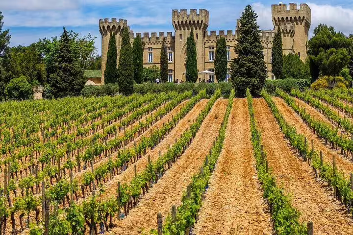 Château de Beaucastel vineyard rows leading to a medieval castle in Châteauneuf-du-Pape, Provence