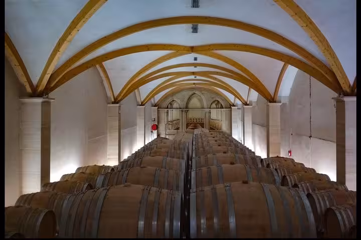 Oak barrels in a Châteauneuf-du-Pape wine cellar, featured on Avignon Popes Palace and wine tour