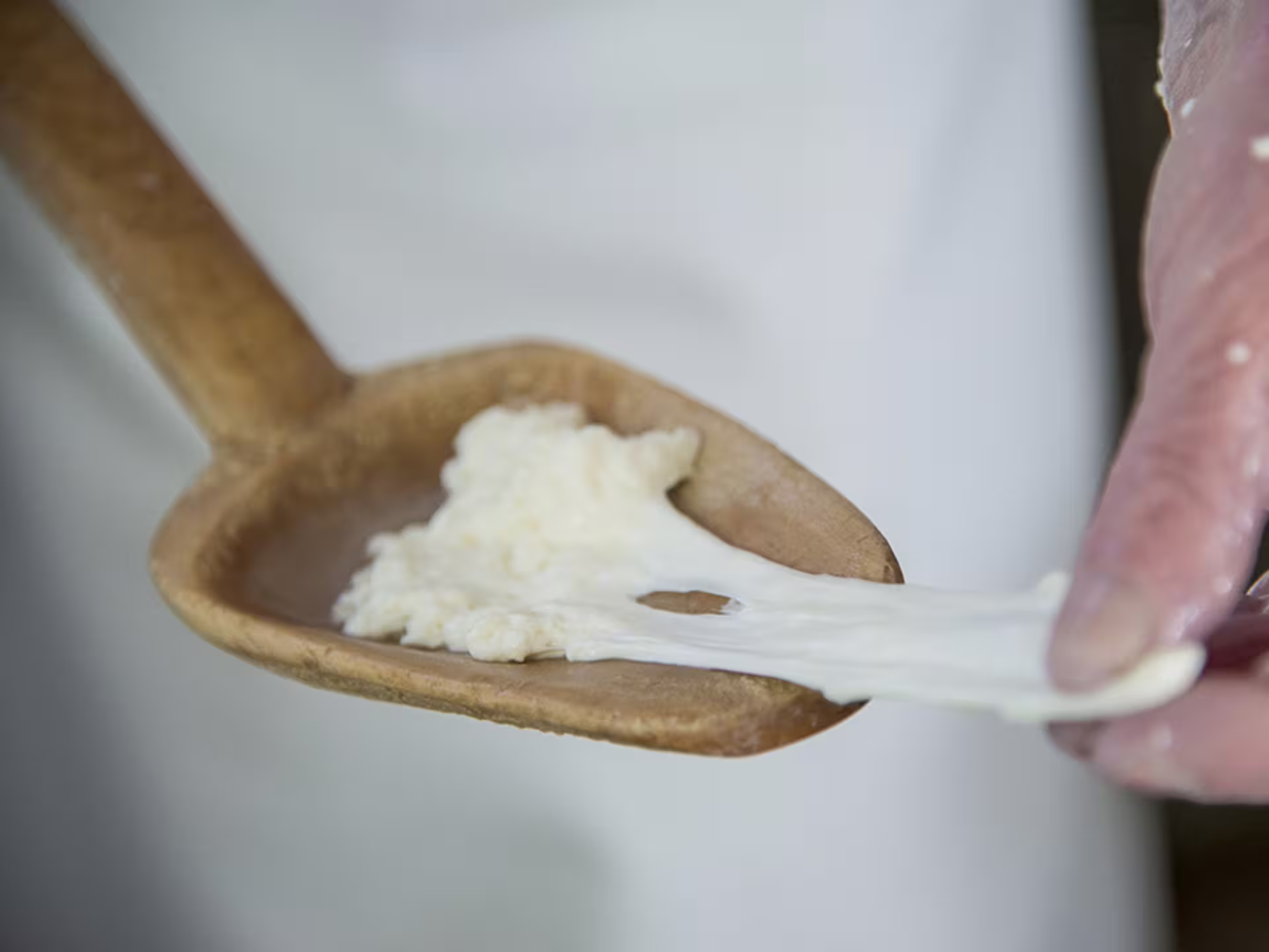Close-up of a wooden spoon with fresh cheese curd during a traditional tasting experience in Isernia countryside.