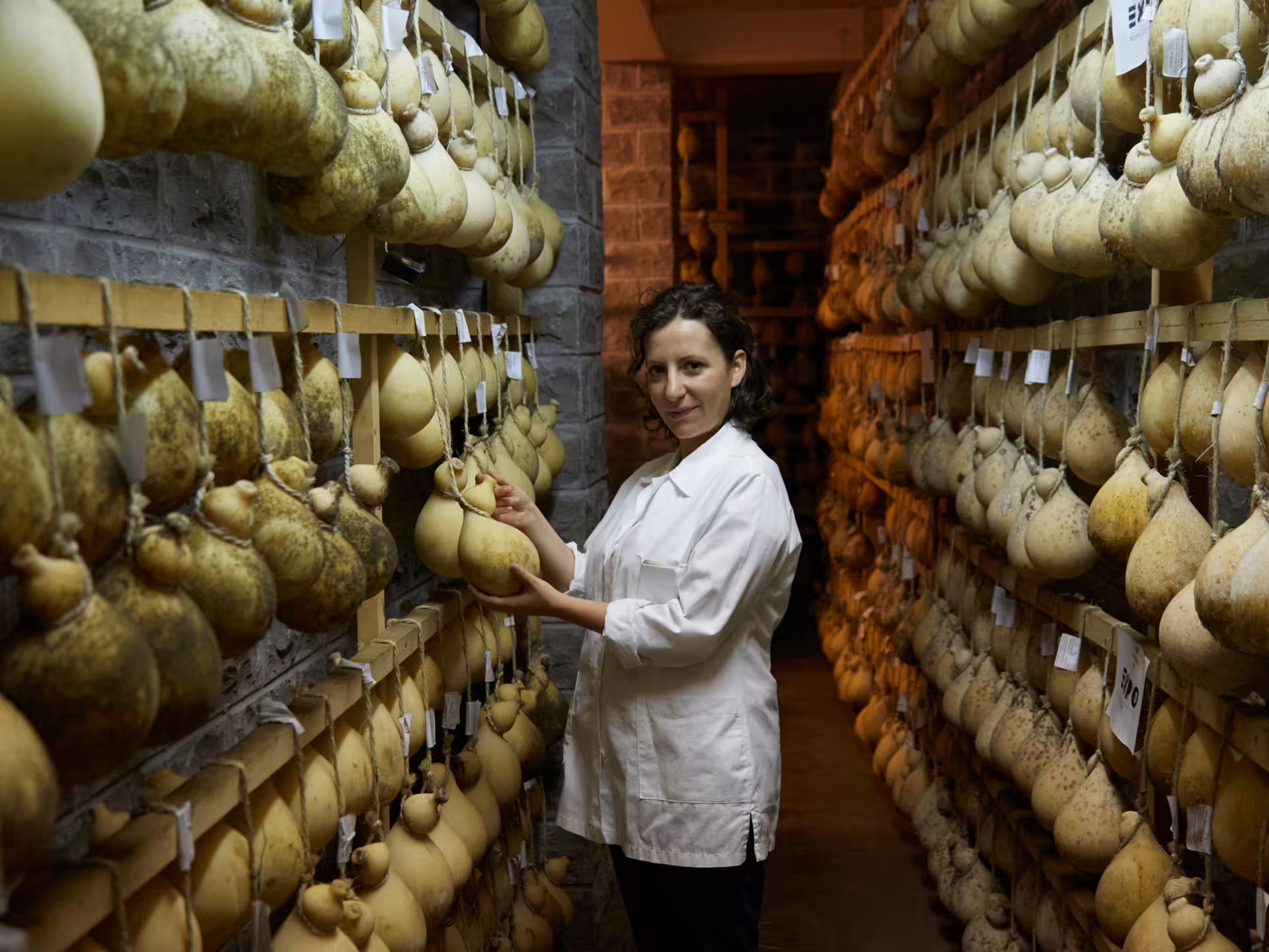 Cheese expert inspecting aged cheese wheels in a curing room at an Isernia countryside factory.