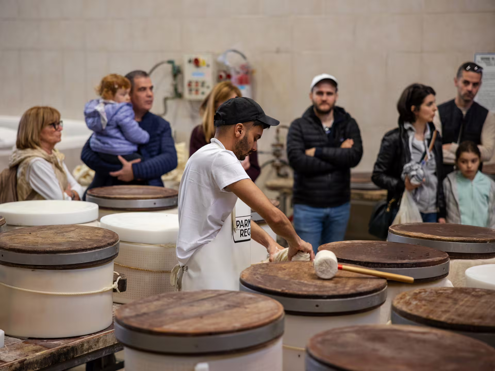 Cheesemaker shaping Parmigiano Reggiano in dairy vats during Parmesan cheese factory tour near Modena