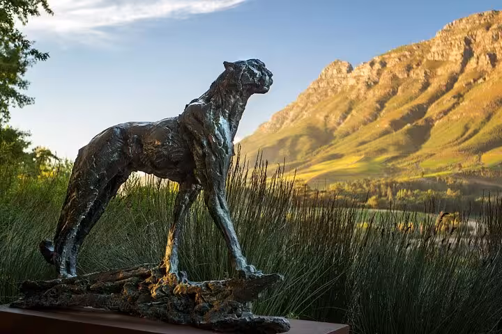 Majestic cheetah sculpture at Waterford Estate with scenic mountain backdrop on Stellenbosch wine tour.