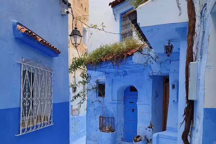 Charming blue-washed alley in Chefchaouen with rustic details and vibrant greenery enhancing its allure.