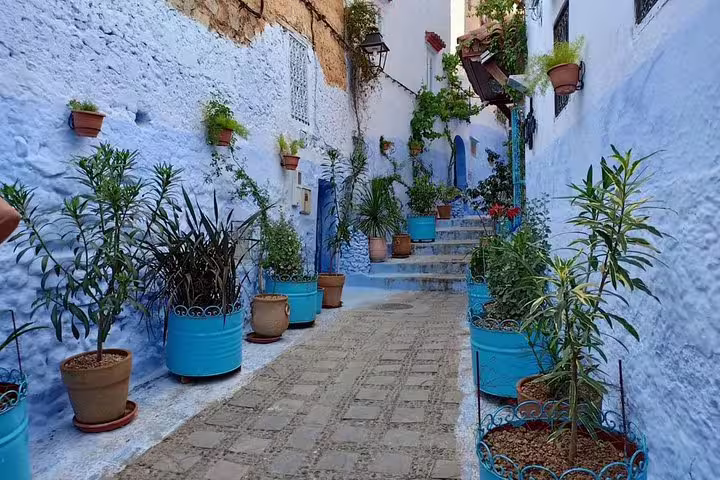 Chefchaouen blue alley with potted plants, a scenic stop on an 8 day desert tour from Marrakech