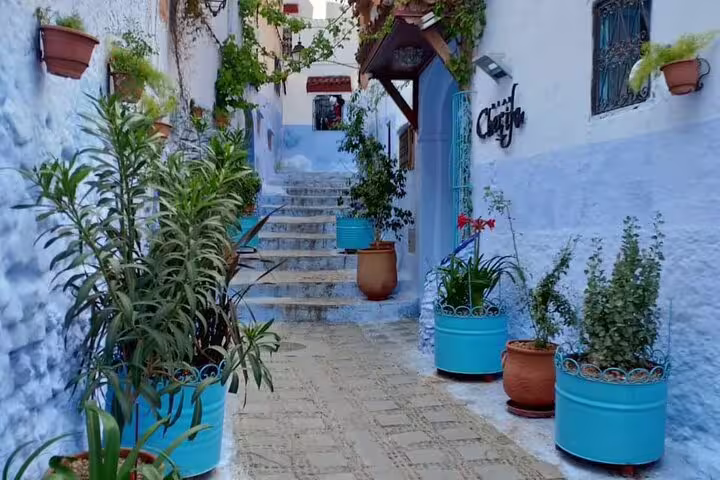 Blue alley in Chefchaouen medina with potted plants, Morocco 11 days tour from Marrakech itinerary