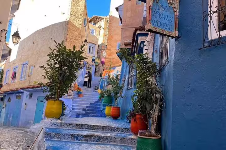 Colorful steps and potted plants in Chefchaouen medina on Morocco 11-day tour from Casablanca via Sahara