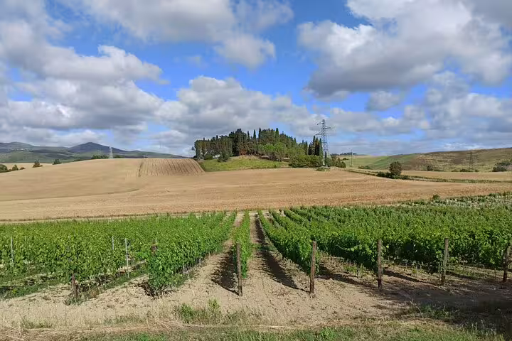 Sunlit Chianti Classico vineyards and rolling Tuscan hills seen on the Good Morning two-winery tour with lunch