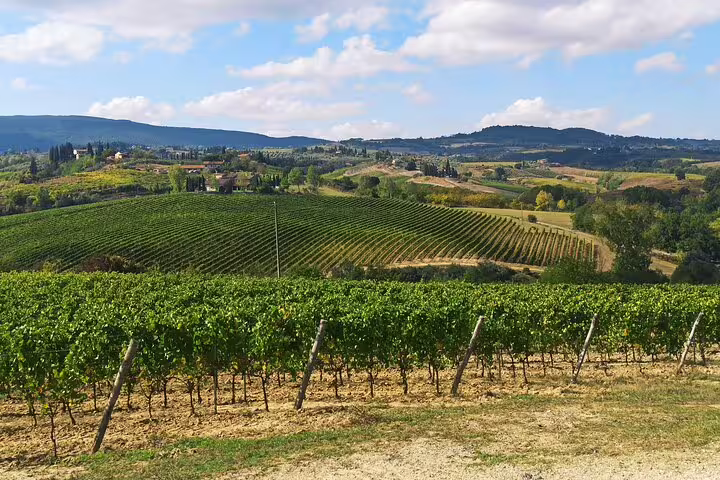 Panoramic Chianti Classico vineyards and rolling Tuscan hills included in the Good Morning two-winery tour with lunch
