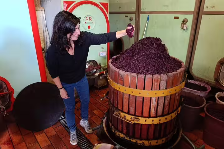 Winemaker demonstrating freshly pressed grape skins in a traditional Chianti Classico cellar on a guided winery tour