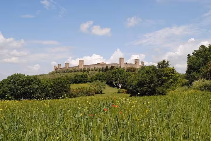 Scenic view of a medieval castle atop a hill surrounded by lush greenery in Chianti, perfect for private wine tours.
